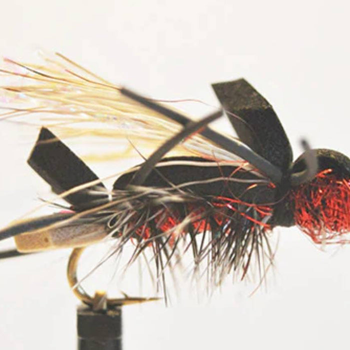 flying red ant