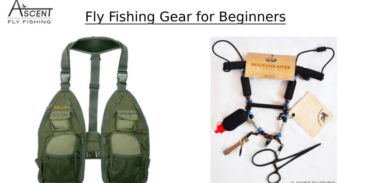 amazon.com fishing rods and reels Amazon Best Sellers: Best Fishing Rod & Reel Combos
