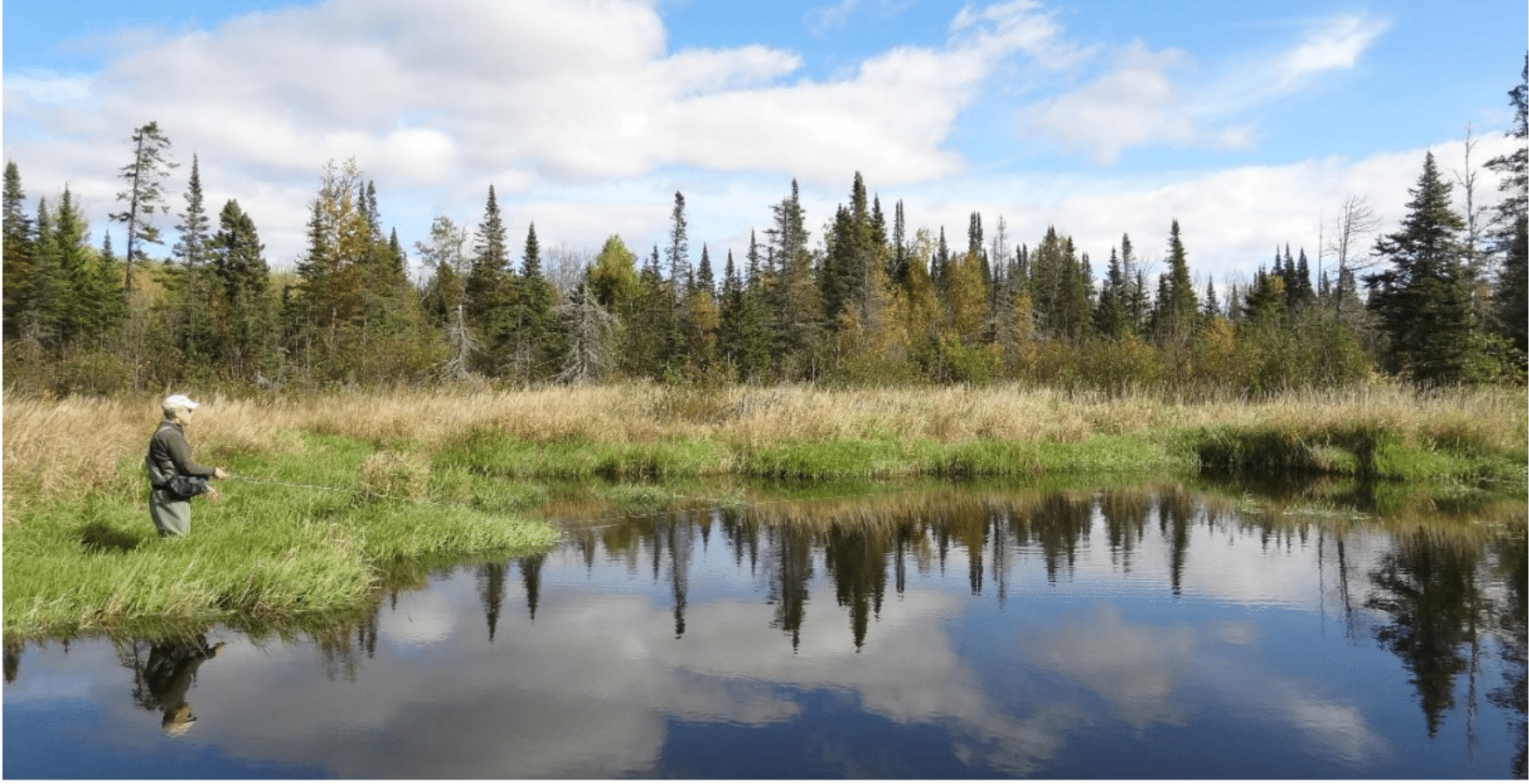 4 Things to Know when Fly Fishing Beaver Ponds