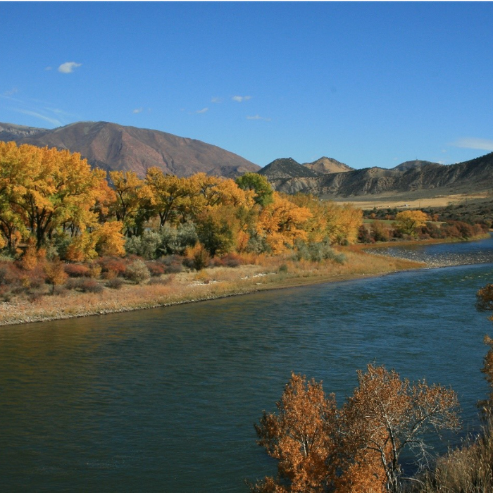 Ascent’s Top 6 Fall Fly Patterns