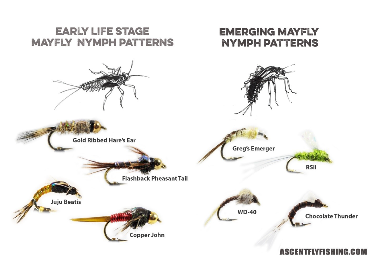 Go-To Fly Patterns for the Mayfly Menu: Part I - Nymphs