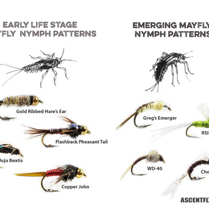 Go-To Fly Patterns for the Mayfly Menu: Part I - Nymphs