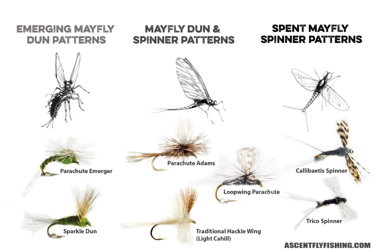 Go-To Fly Patterns for the Mayfly Menu: Part II – Duns & Spinners