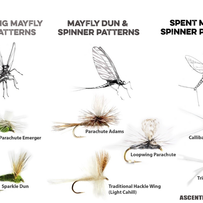 Go-To Fly Patterns for the Mayfly Menu: Part II – Duns & Spinners