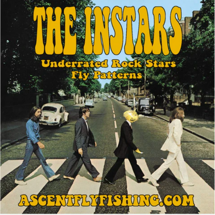 The Instars - Underrated Rock Stars Fly Patterns