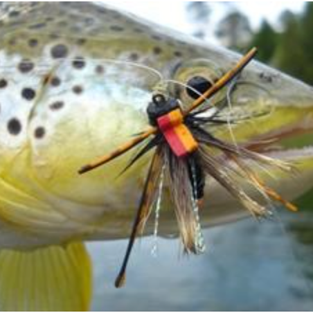 4-Tips to Fly Fishing the Brood X Cicada Hatch