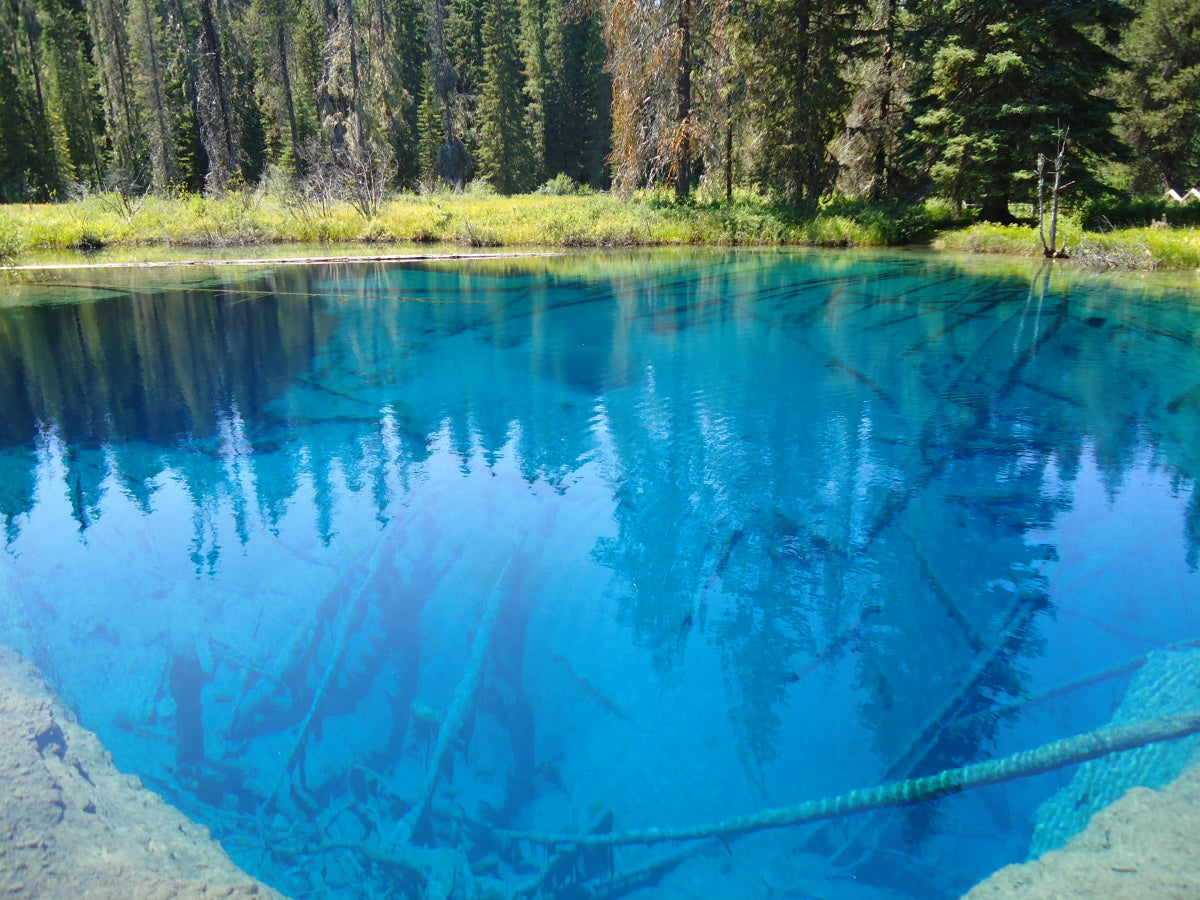 Trout Need to See it to Eat it - How to Choose Fly Patterns Based on Water Color & Clarity