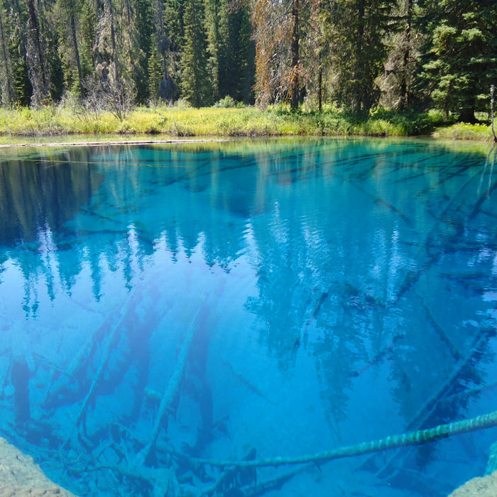 Trout Need to See it to Eat it - How to Choose Fly Patterns Based on Water Color & Clarity