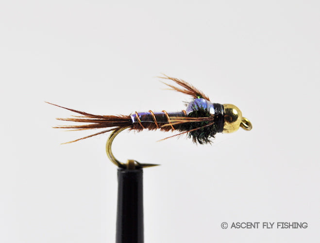 The One Nymph Pattern to Rule them All! — Ascent Fly Fishing