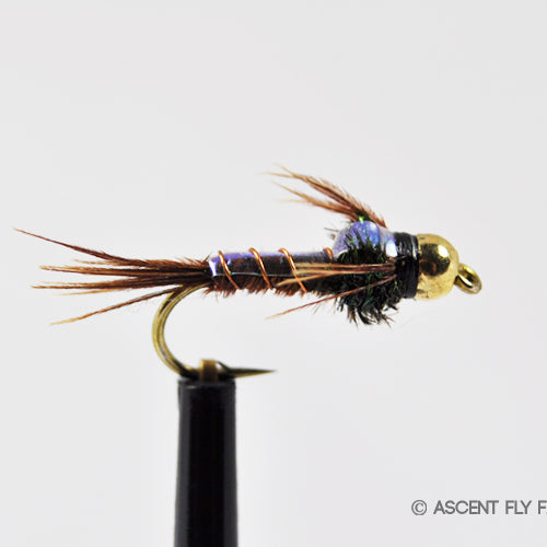 The One Nymph Pattern to Rule them All!