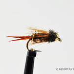 A Fly Fisher's Cautionary Tale