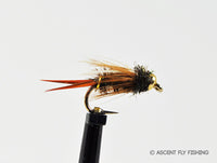 A Fly Fisher's Cautionary Tale