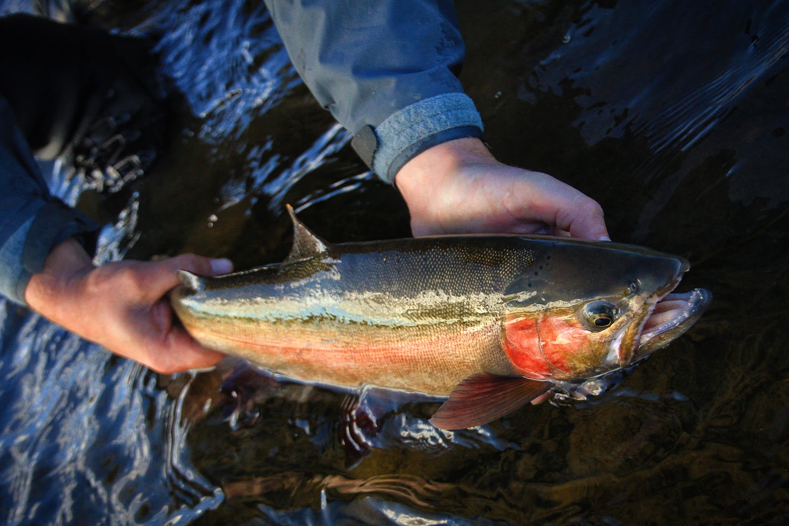 How to Ethically Fish During the Trout Spawn