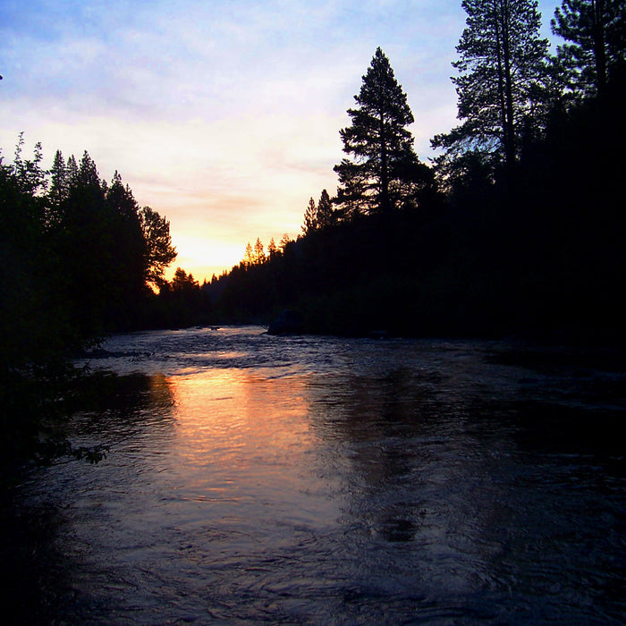 Fly Fishing During the Coronavirus - Take Heart & Find Hope