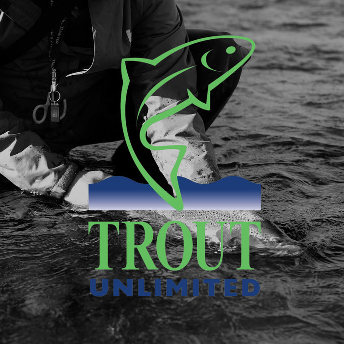 Investing in the Future of Trout and Why You Should Join Trout Unlimited