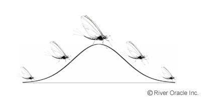 How to Read Hatch Charts and Match the Hatch Year Round