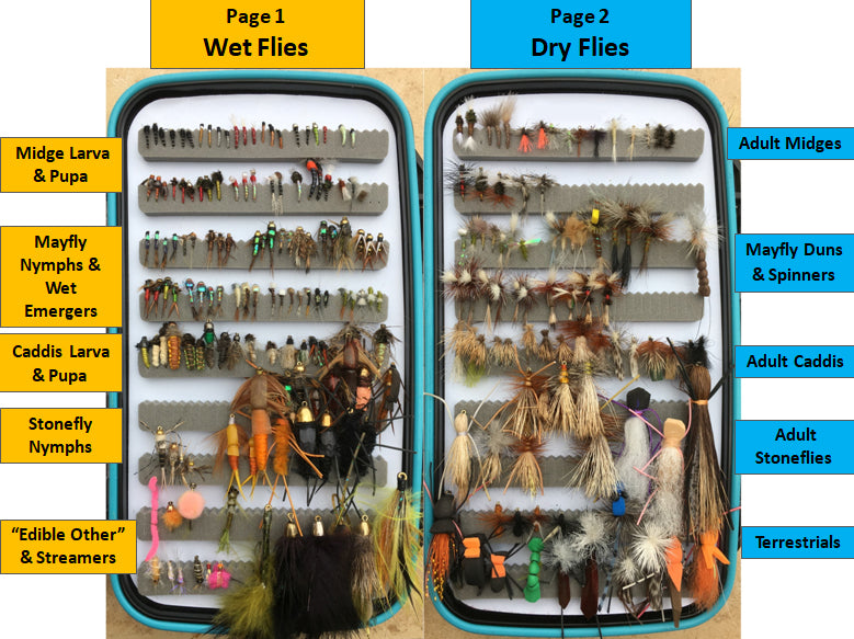 academy fly fishing boxes First Cast Learn to Fish Bundle Secure and store your favorite flies with the Perfect Hatch Waterproof Double Images - CAROLINA FLY FISHING