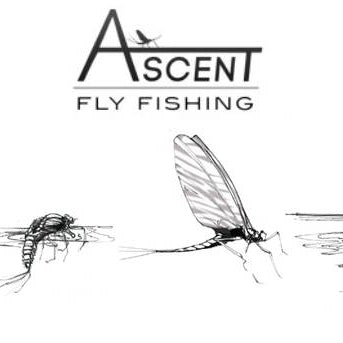 Bug Bite Series - Matching the Pale Morning Dun Like a Pro