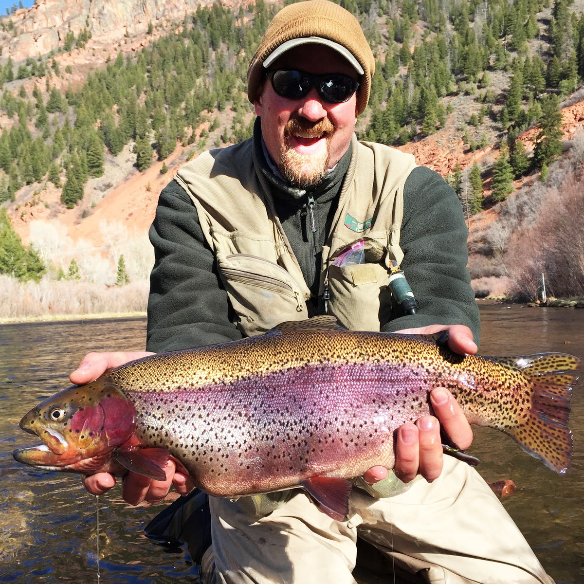 Trout Smart Series: An Insider's Look at Catching Rainbow Trout on