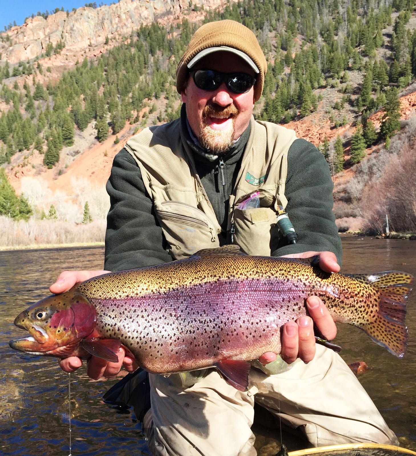 Trout Smart Series:  An Insider's Look at Catching Rainbow Trout on the Fly