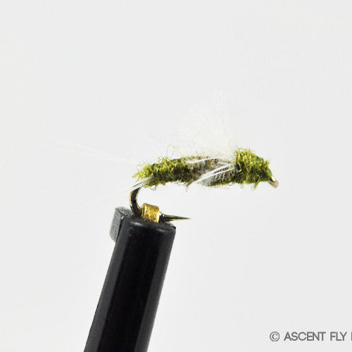 RS2-Fly