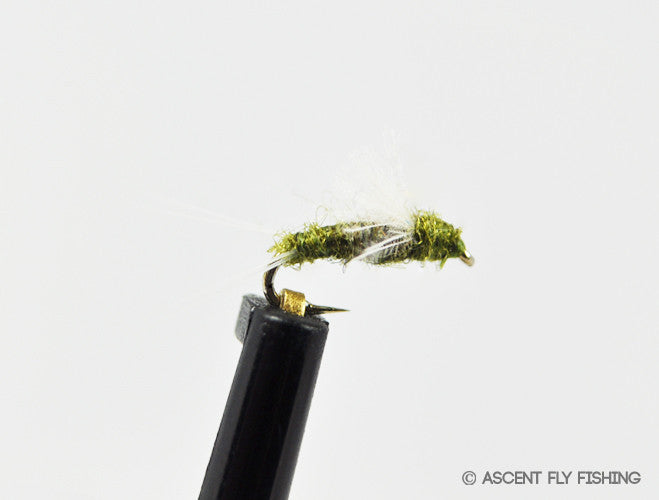 RS2-Fly