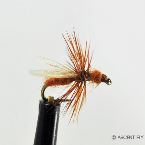 Red-Flying-Ant