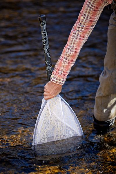 The Answers to the Test are in Your Seine!