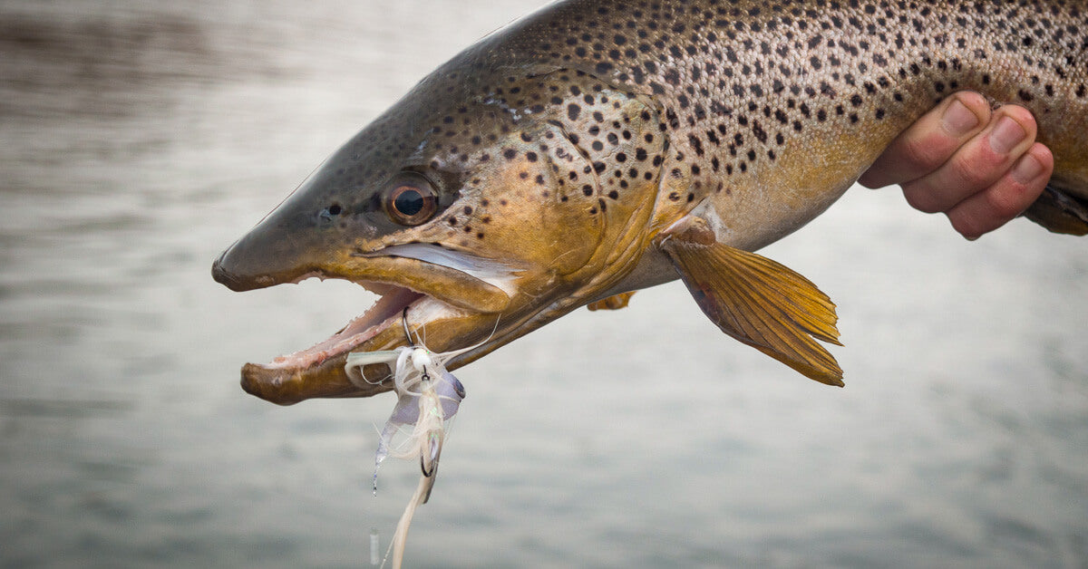 ​Fly Fishing with Streamer –  Part I: Rigging