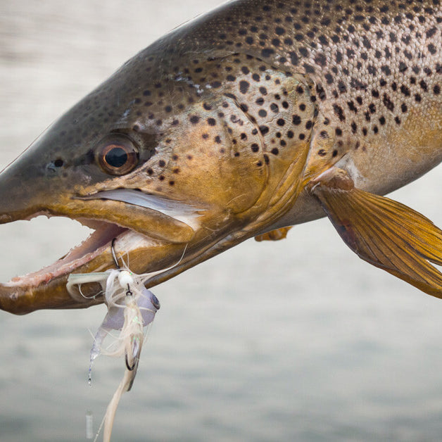 ​Fly Fishing with Streamer –  Part I: Rigging