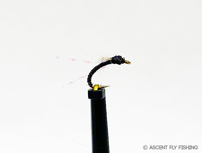 Tailwater Assassin