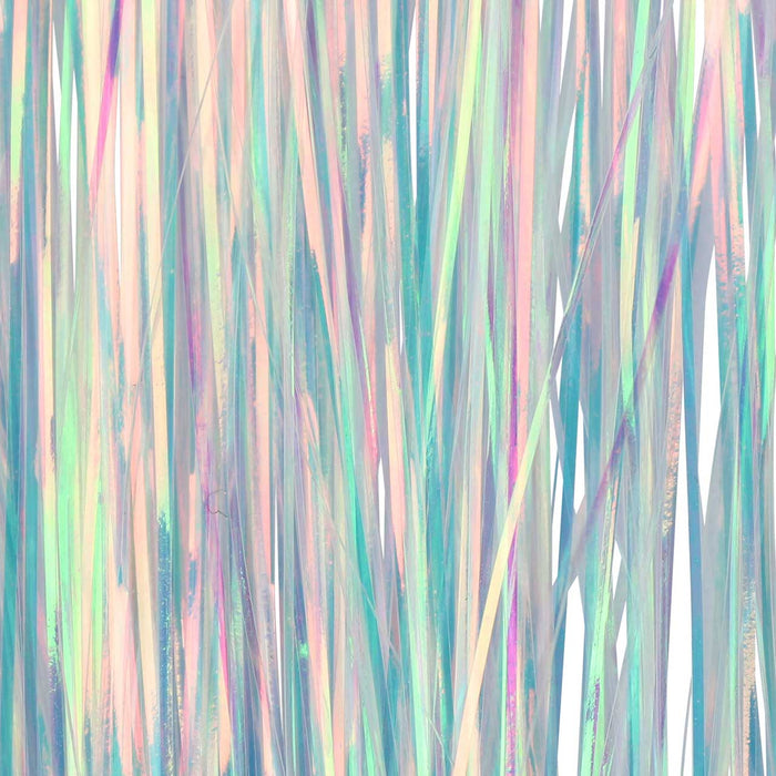 Holographic Flashabou