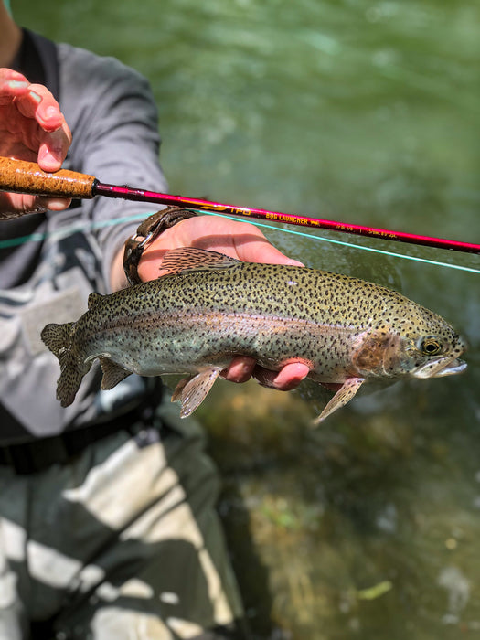 TFO Bug Launcher Fly Rod