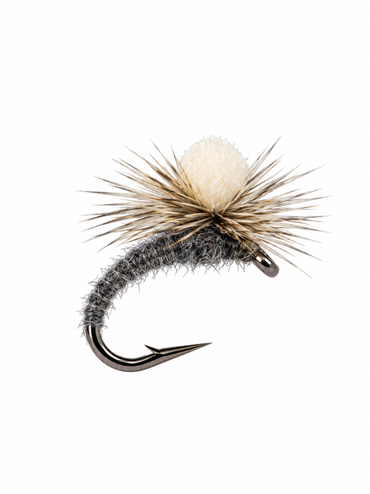 Sprout Midge