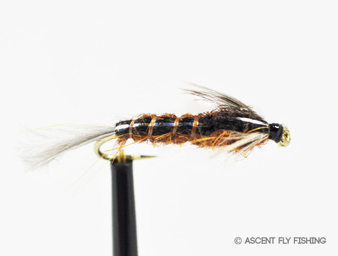 Isonychia (Slate Drake) Nymph — Ascent Fly Fishing