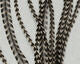 HARELINE Keough's Saddle Value Pack