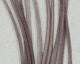 HARELINE Keough's Saddle Value Pack