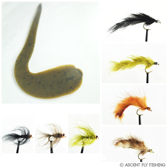 Leech Fly Selection