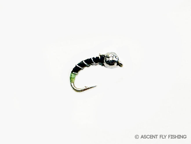 PDT Beadhead Zebra Midge