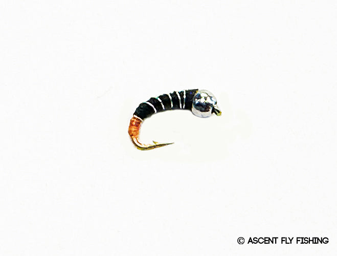 PDT Beadhead Zebra Midge