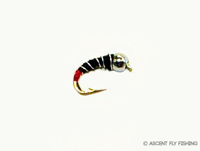 PDT Beadhead Zebra Midge