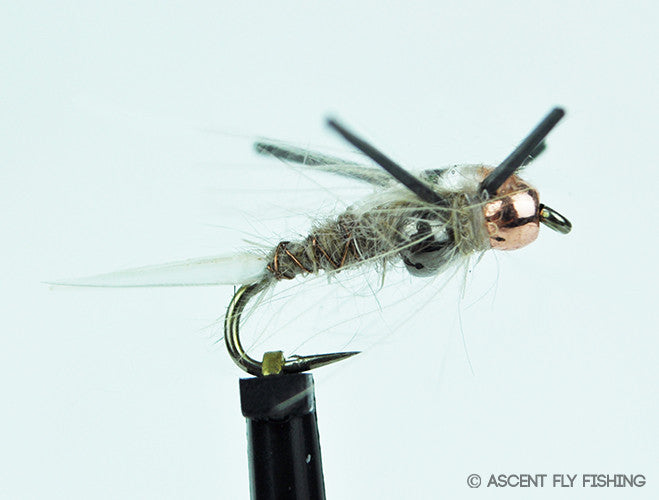 PS Dad Bod — Ascent Fly Fishing