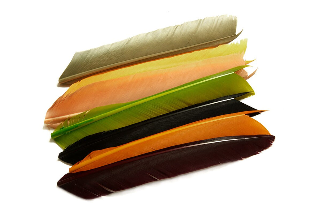 FULLINGMILL Turkey Biots