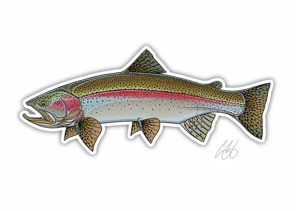 Casey Underwood Rainbow Trout Decal