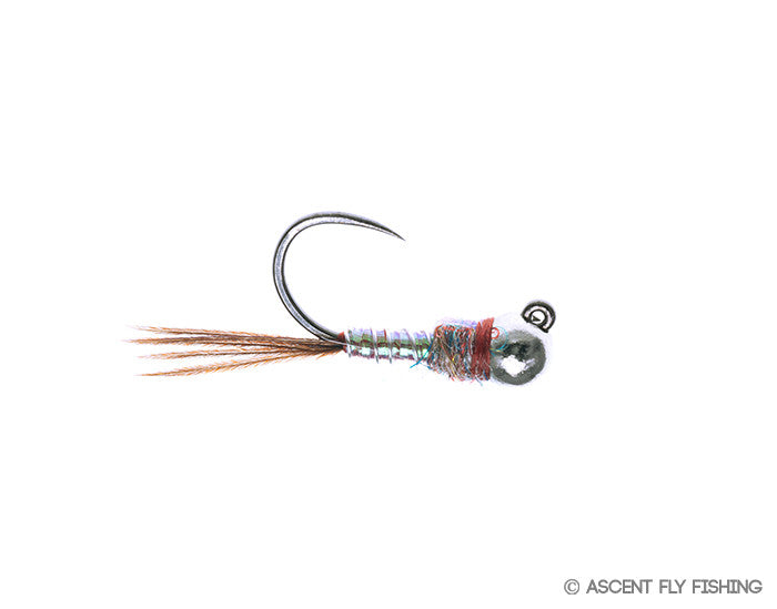 Tungsten Jig Rainbow Warrior