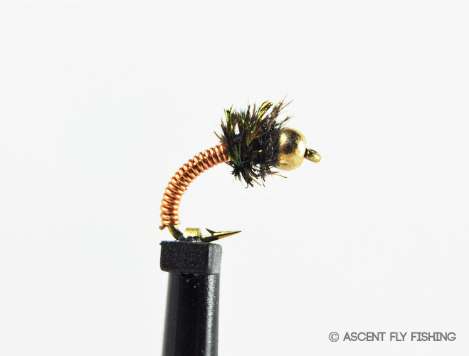 Copper Beadhead Brassie