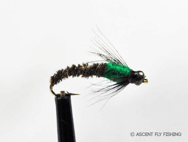 Beadhead Cased Caddis