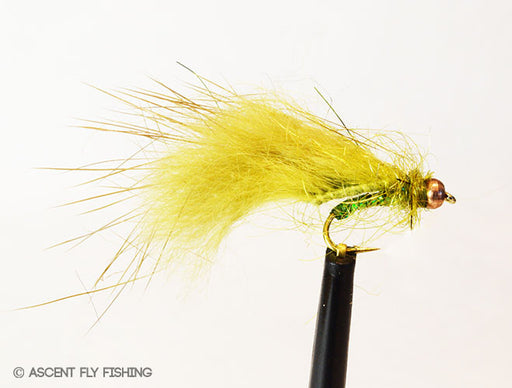 Beadhead Mini Leech - Olive