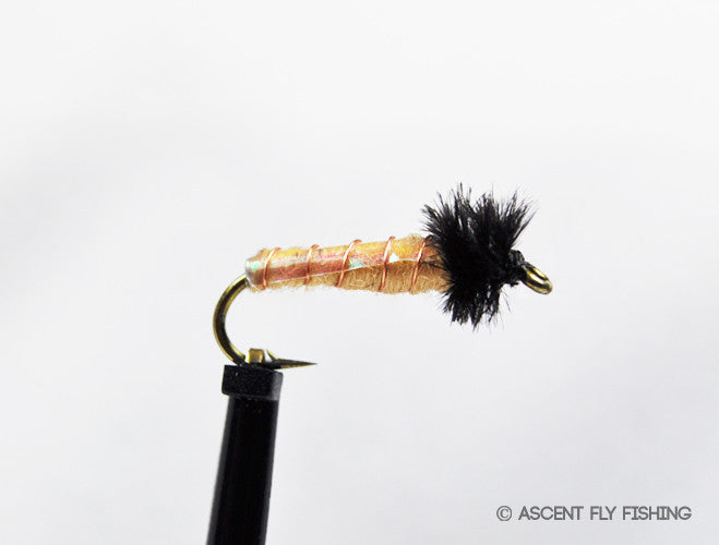 Better Buckskin — Ascent Fly Fishing