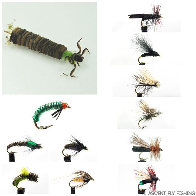 Black Caddis Selection